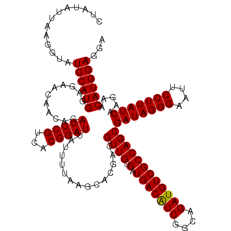 secondary structure