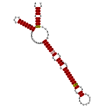 secondary structure