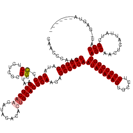 secondary structure