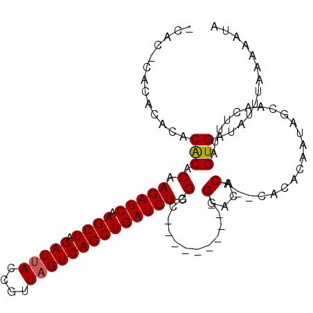 secondary structure