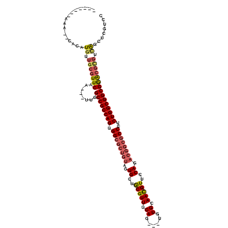 secondary structure