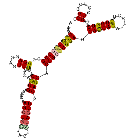 secondary structure