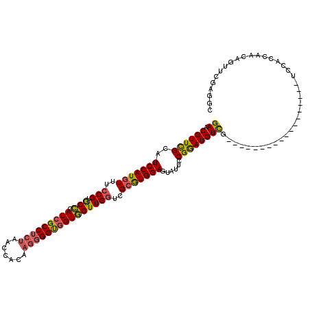 secondary structure