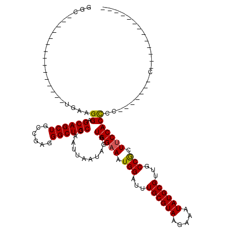 secondary structure