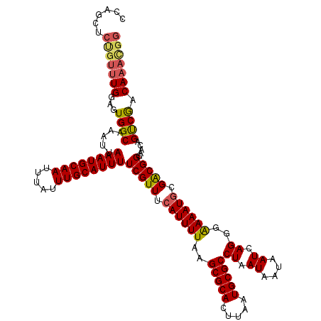 secondary structure