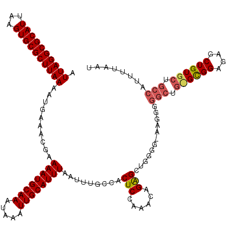 secondary structure