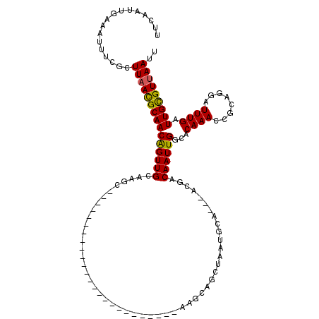 secondary structure