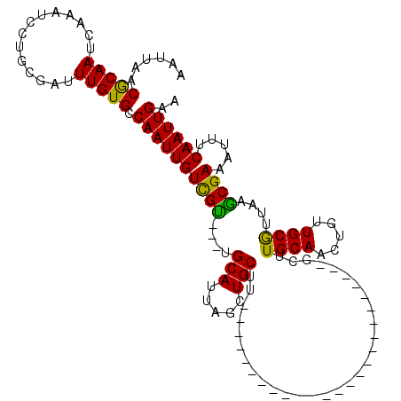 secondary structure