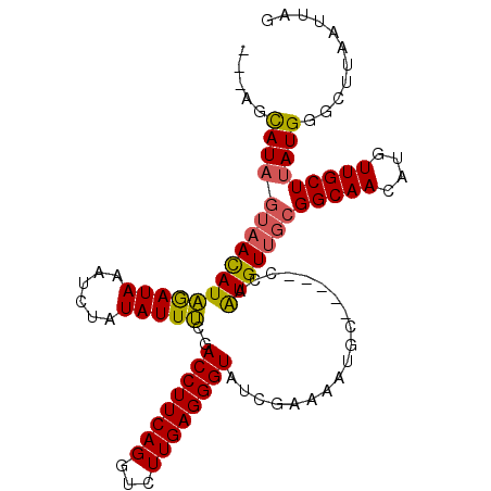 secondary structure