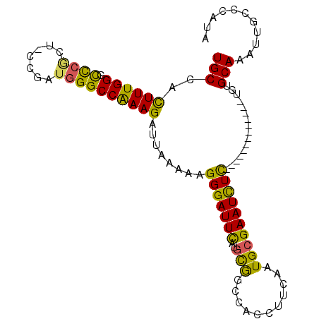 secondary structure