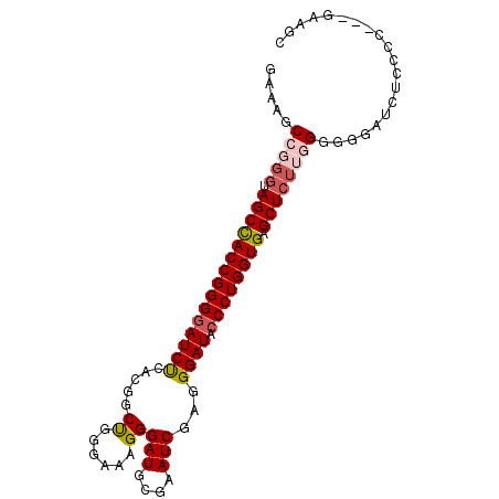 secondary structure