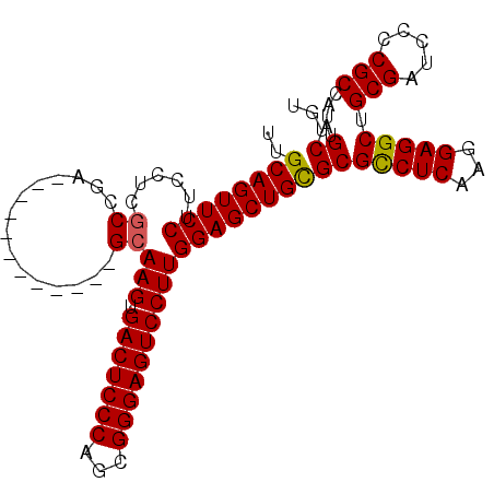 secondary structure