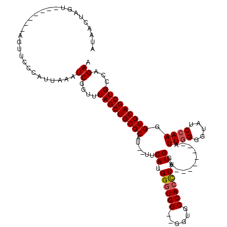 secondary structure