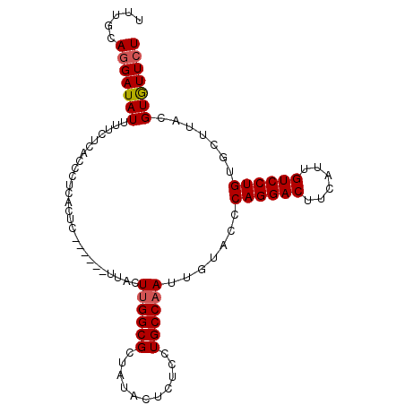 secondary structure