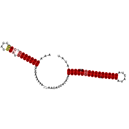 secondary structure