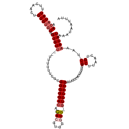 secondary structure