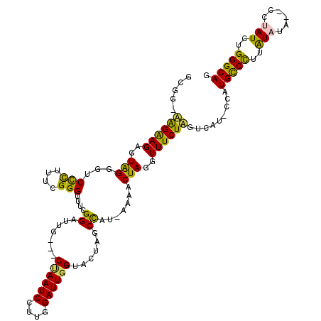 secondary structure