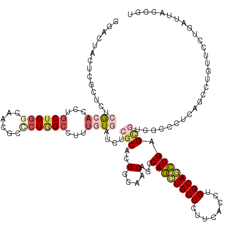 secondary structure