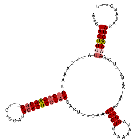secondary structure