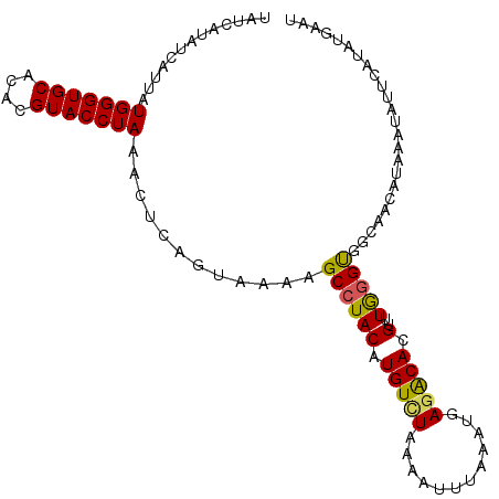 secondary structure