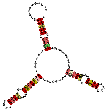 secondary structure