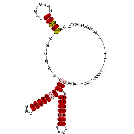 secondary structure