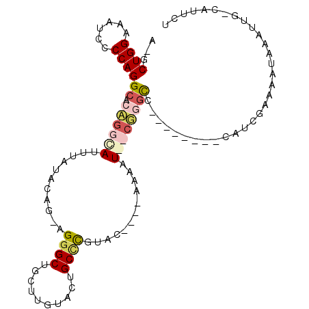 secondary structure