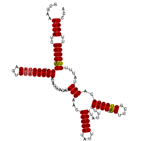 secondary structure