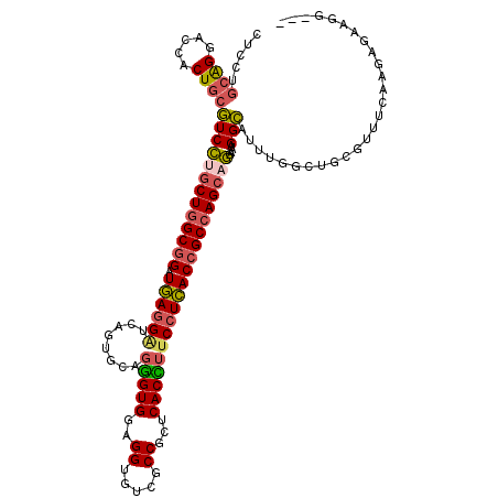 secondary structure