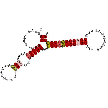 secondary structure