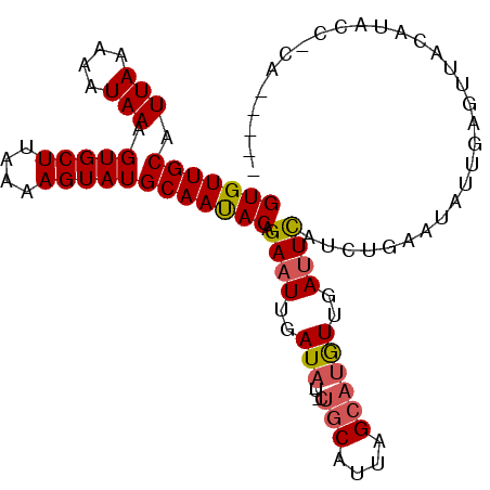 secondary structure