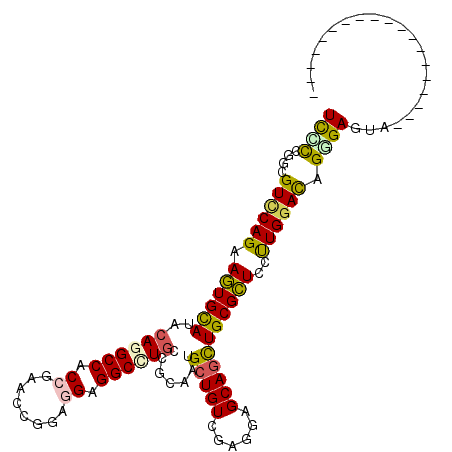secondary structure