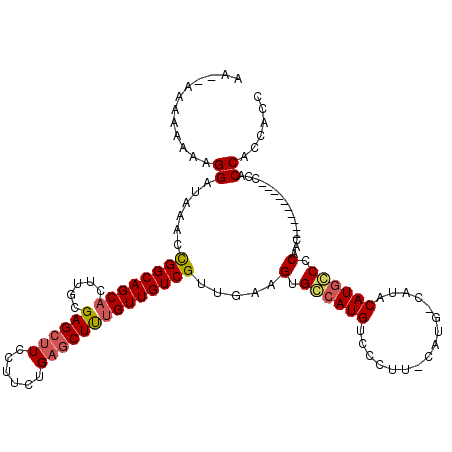 secondary structure