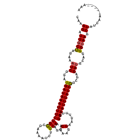 secondary structure