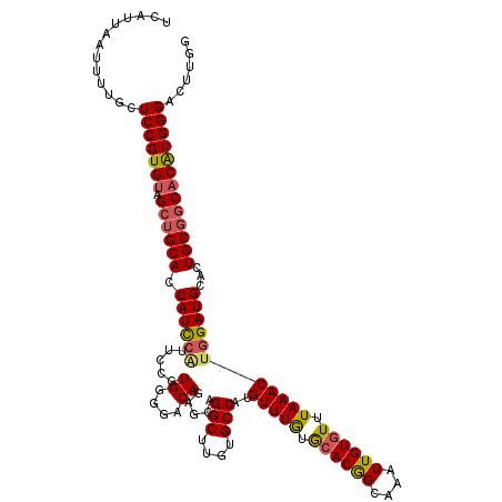 secondary structure