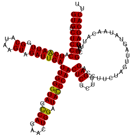 secondary structure