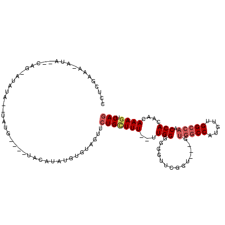 secondary structure