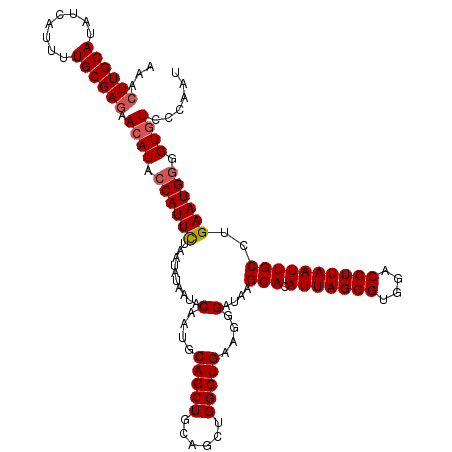 secondary structure