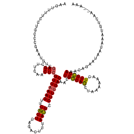 secondary structure