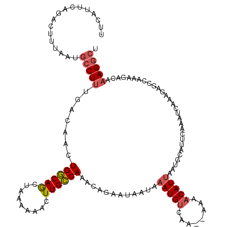 secondary structure