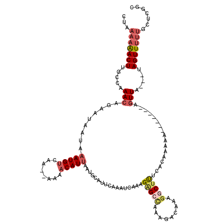 secondary structure