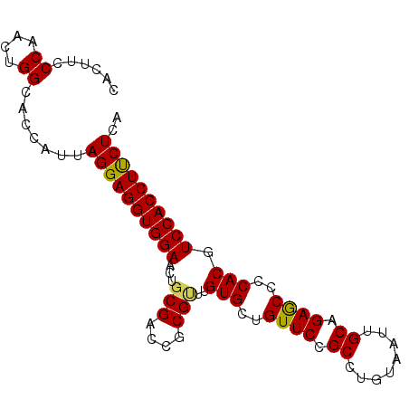 secondary structure
