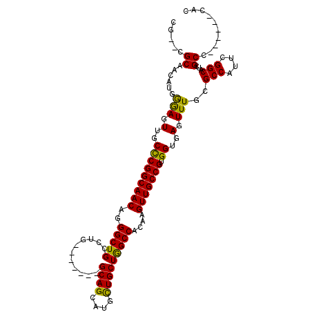 secondary structure