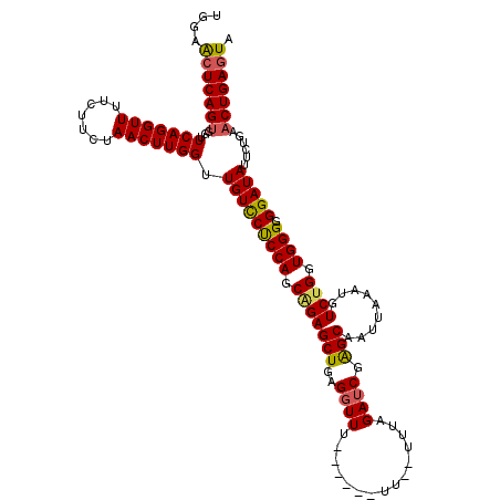 secondary structure