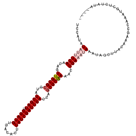 secondary structure