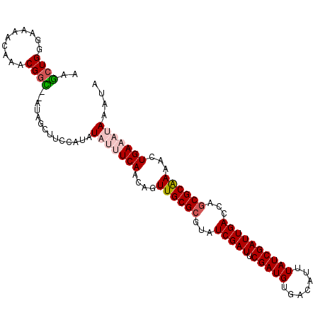 secondary structure
