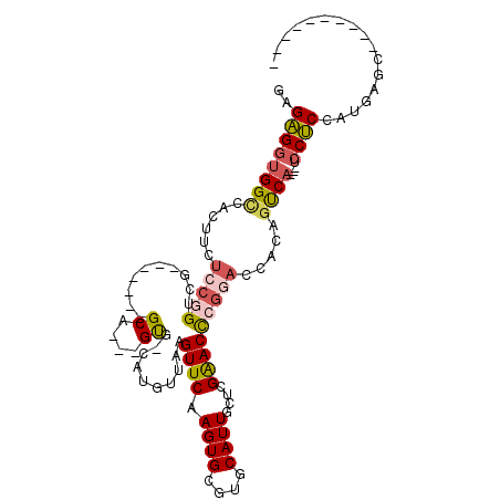 secondary structure