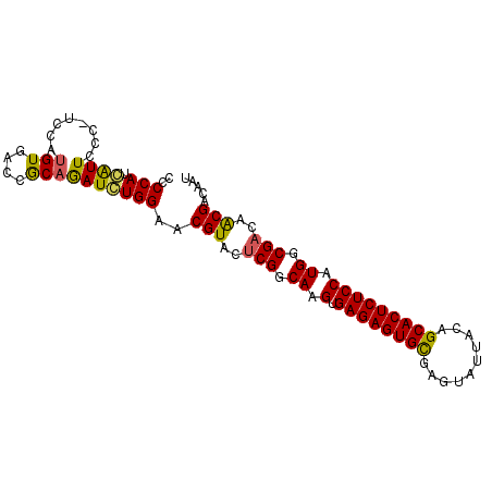 secondary structure
