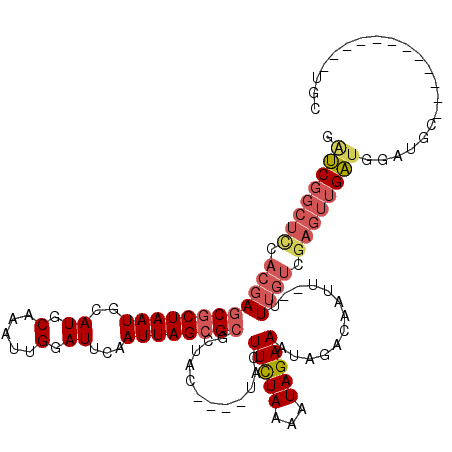 secondary structure