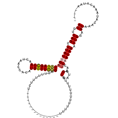 secondary structure